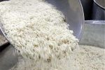 خریداری ۵۰ هزارتن برنج پرمحصول از شالیکاران مازندرانی