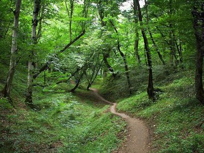 هشدار درباره احتمال آتش‌سوزی در مراتع و جنگل‌های مازندران