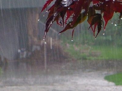 رگبار پراکنده امروز و فردا در مازندران