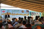 تضمین خریدبرنج کشاورزان بالاتر از قیمت تمام‌شده