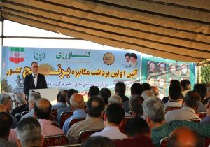 تضمین خریدبرنج کشاورزان بالاتر از قیمت تمام‌شده