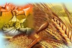 پرداخت ۹۸ میلیارد تومان زکات در مازندران