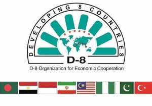 آغاز اجلاس وزرای بهداشت گروه ۸-D در قاهره/ حضور هیات ایرانی به سرپرستی معاون وزیر بهداشت