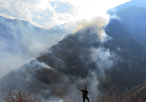 یک هکتار از جنگلهای الیت همچنان گرفتار آتش