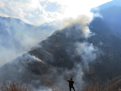 یک هکتار از جنگل‌های الیت همچنان گرفتار آتش