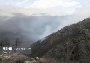 ۸۰ درصد آتش سوزی جنگل الیت مهار شده است