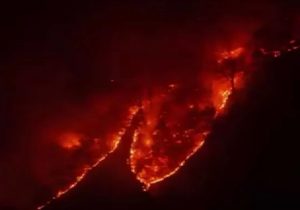 ضرورت ایجاد پایگاه‌های هوایی اطفای حریق در جنگل‌های هیرکانی