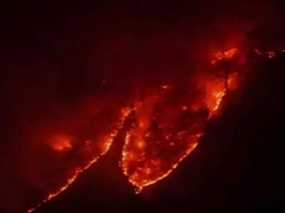 ضرورت ایجاد پایگاههای هوایی اطفای حریق در جنگلهای هیرکانی