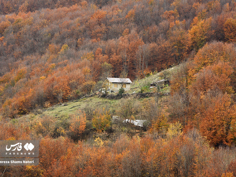 طبیعت پاییزی در مناطق کوهستانی چالوس