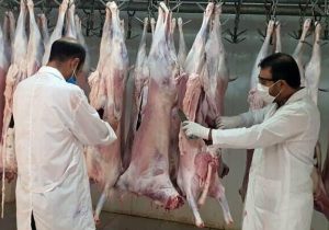 فعالیت کشتارگاه صنعتی مرزن آباد آغاز شد