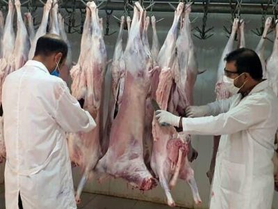 فعالیت کشتارگاه صنعتی مرزن آباد آغاز شد
