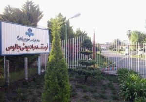 آغاز پخش زنده برنامه های رادیویی از فرستنده «رادیو دریا» چالوس