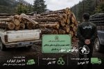 کشف ۳۹ تن چوب و فرآوردههای جنگلی قاچاق در چالوس
