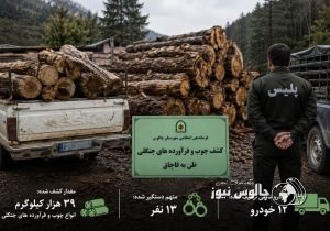 کشف ۳۹ تن چوب و فرآورده‌های جنگلی قاچاق در چالوس