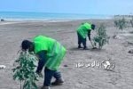 نهال‌کاری ۱۶۰ هکتاری در سواحل غرب مازندران