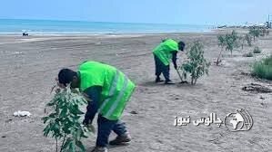 نهال‌کاری ۱۶۰ هکتاری در سواحل غرب مازندران