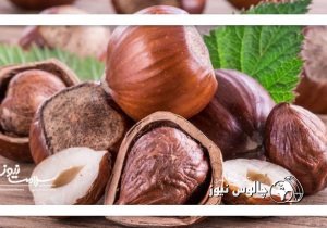 برای کاهش کلسترول فندق بهتر است یا بادام‌زمینی؟
