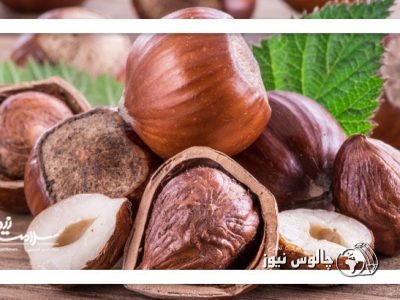 برای کاهش کلسترول فندق بهتر است یا بادامزمینی؟